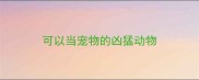 可以当宠物的凶猛动物