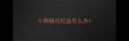 小狗肠炎拉血怎么办