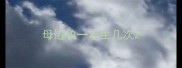 母边牧一年生几次