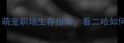哈士奇上班实录萌宠职场生存指南看二哈如何逆袭成公司团宠