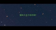 猫咪大全介绍详细