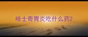 哈士奇胃炎吃什么药