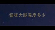 猫咪大腿温度多少
