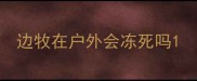 边牧在户外会冻死吗