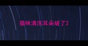 猫咪清洗耳朵破了