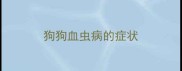 狗狗血虫病的症状