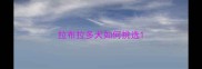 拉布拉多犬如何挑选