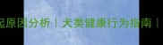 核心小狗勃起原因分析犬类健康行为指南宠物主人必读