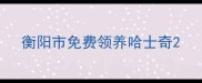 衡阳市免费领养哈士奇