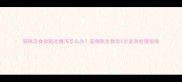 猫咪没食欲呕吐腹泻怎么办宠物医生教你5步紧急处理指南