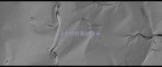 4个月的泰迪身长