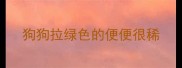 狗狗拉绿色的便便很稀
