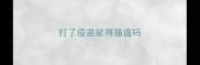 打了疫苗能得猫瘟吗