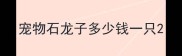 宠物石龙子多少钱一只