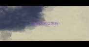 包菜狗狗可以吃吗