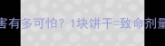 巧克力对狗狗的危害有多可怕1块饼干致命剂量附中毒急救指南