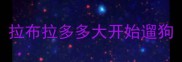 拉布拉多多大开始遛狗