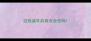边牧成年后有攻击性吗