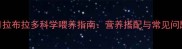 3个月拉布拉多科学喂养指南营养搭配与常见问题全