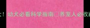 金毛疫苗频率大幼犬必看科学指南养宠人必收藏的疫苗全攻略