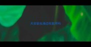 犬安驱虫滴边牧能用吗