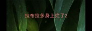 拉布拉多身上烂了