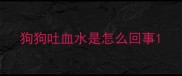 狗狗吐血水是怎么回事
