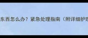 狗狗不吃东西怎么办紧急处理指南附详细护理方法