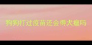狗狗打过疫苗还会得犬瘟吗