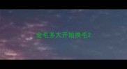 金毛多大开始换毛