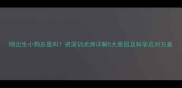 刚出生小狗总是叫资深训犬师详解5大原因及科学应对方案