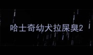 哈士奇幼犬拉屎臭