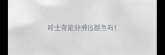 哈士奇能分辨出颜色吗