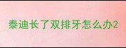 泰迪长了双排牙怎么办