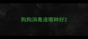 狗狗消毒液哪种好