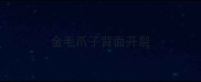 金毛爪子背面开裂
