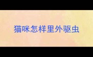 猫咪怎样里外驱虫