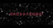 拉布拉多多大开始换毛