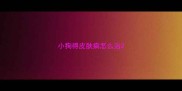 小狗得皮肤病怎么治