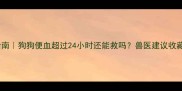 紧急处理指南狗狗便血超过24小时还能救吗兽医建议收藏这篇干货