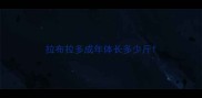 拉布拉多成年体长多少斤