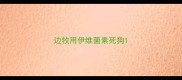 边牧用伊维菌素死狗