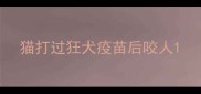 猫打过狂犬疫苗后咬人