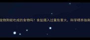宠物狗能吃咸的食物吗食盐摄入过量危害大科学喂养指南