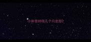 小体雪纳瑞几个月定型