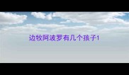 边牧阿波罗有几个孩子