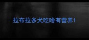拉布拉多犬吃啥有营养