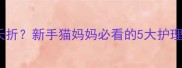 猫咪生产后幼猫夭折新手猫妈妈必看的5大护理误区与应对指南