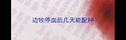 边牧停血后几天能配种