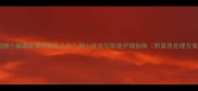 狗狗细小病毒鼻涕带脓怎么办细小症状与家庭护理指南附紧急处理方案